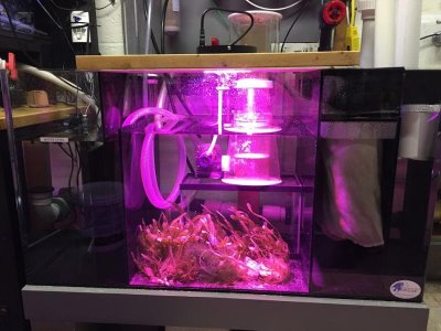 sump-01-may-2016.jpg