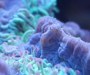 20160402_104939.jpg