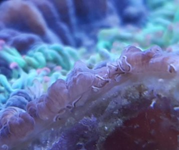20160402_105027.jpg