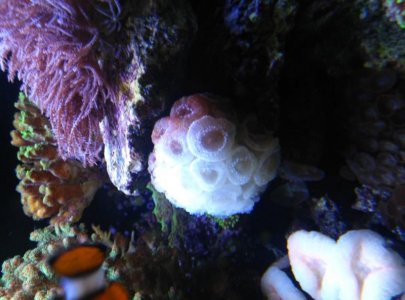 rsz_img_20160503_140945.jpg