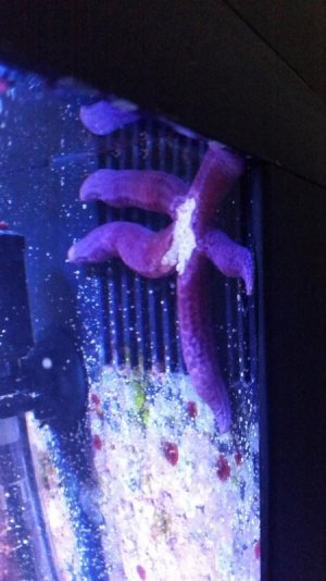 20160407_143156.jpg