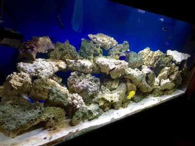 Image1462331624.885465.jpg