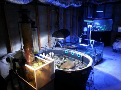 20160503_211225.jpg