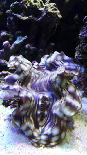 2016-04-08 09.08.01.jpg