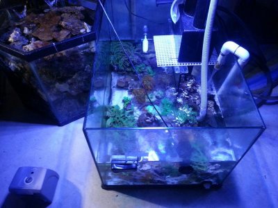 20160503_211014.jpg