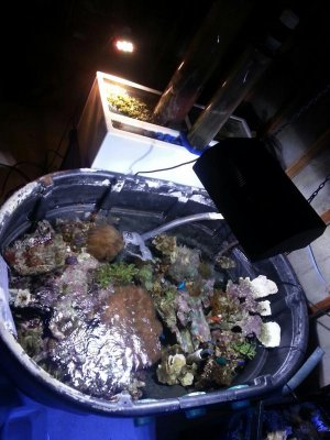20160503_211140.jpg