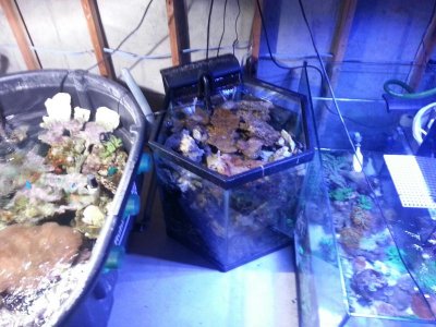 20160503_211143.jpg
