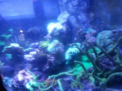 20160503_215853.jpg