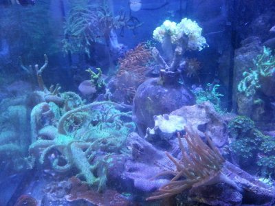 20160503_215907.jpg