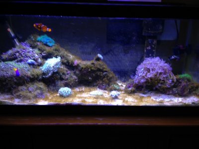 IMG_2279.JPG IMG_2279.JPG