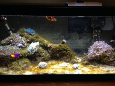 IMG_2278.jpg IMG_2278.jpg