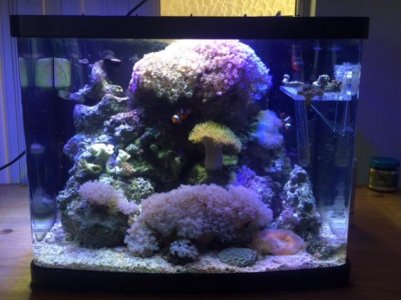 full tank shotttt.jpg