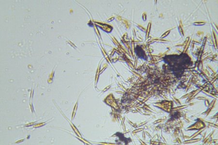 Photo on 4-8-16 at 7.02 PM.jpg