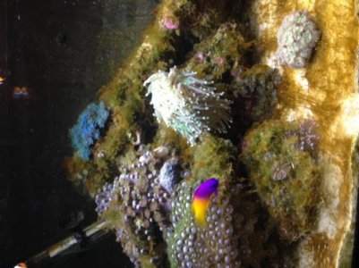 IMG_2276.jpg IMG_2276.jpg