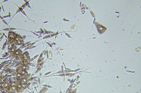 Photo on 4-8-16 at 7.09 PM.jpg