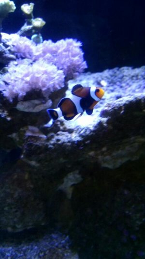 rps20160505_180801.jpg