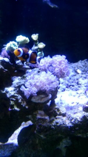 rps20160505_180731.jpg
