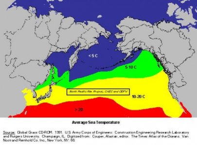Average Sea Temperature.jpg
