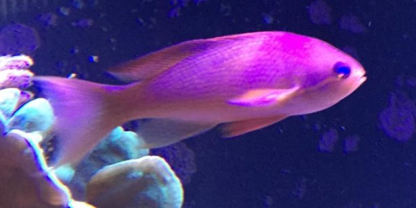 IMG_3934.jpg