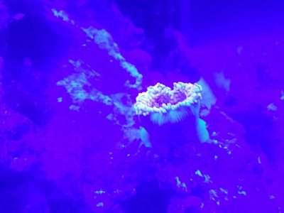 2016-04-10 00.08.57.jpg