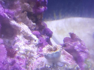 2016-04-10 00.09.21.jpg