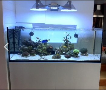 Old tank.jpg