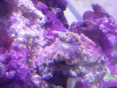 2016-04-10 00.17.30.jpg