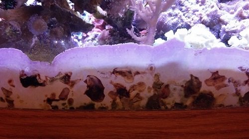 0506161516a - Copy.jpg