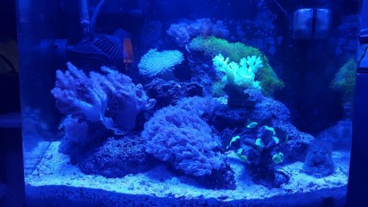 fts 5-7-16.JPG