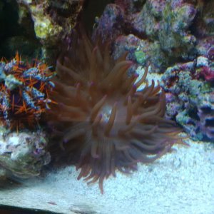 IMG_20160508_091102.jpg
