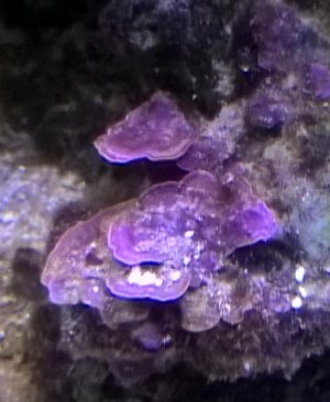 WP_20160508_21_14_01_Pro (2).jpg