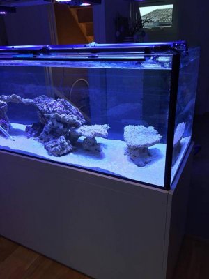 image_30236.jpg