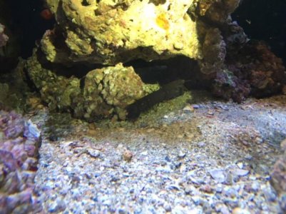 IMG_1394.jpg