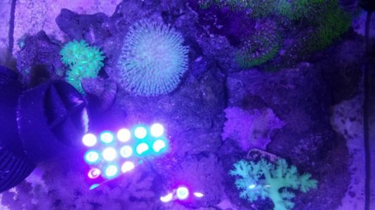 top down 4-10-16.jpg