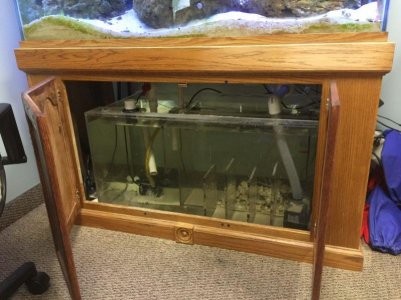 IMG_0843.jpg