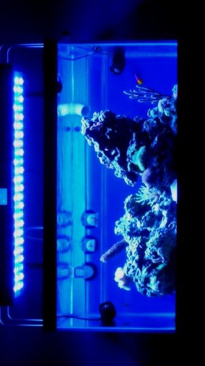 2016-02-09 19.36.38.jpg