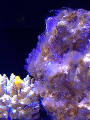 IMG_2042.jpg
