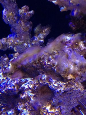 IMG_2043.jpg