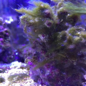 IMG_6473.jpg