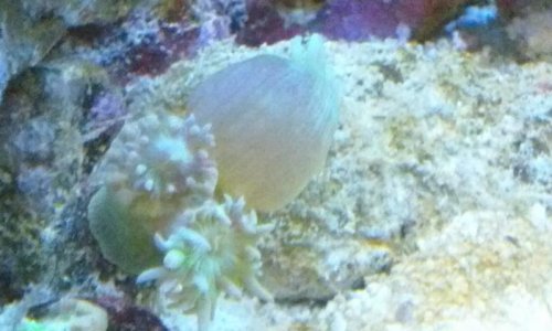 20160510_214254.jpg
