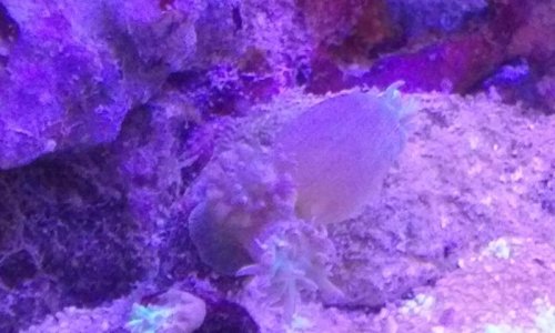 20160510_214328.jpg