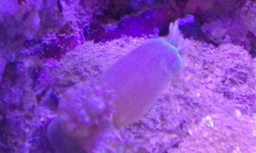 20160510_214517.jpg