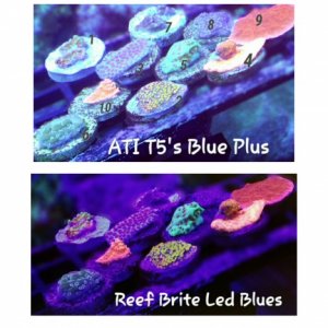 PhotoGrid_1460439296438 (1).jpg