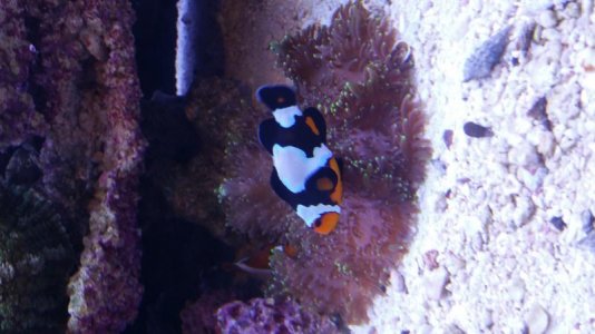 20160510_210803.jpg