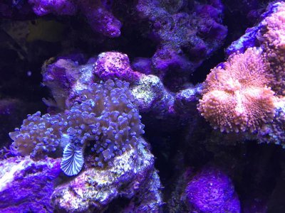 IMG_3896.jpg