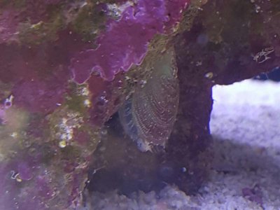 2016-04-14 12.37.01.jpg