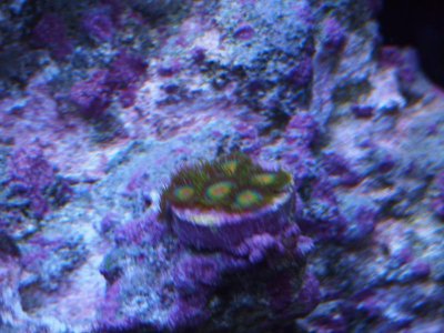 P1011244.jpg P1011244.jpg