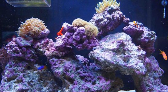 P1011223.jpg P1011223.jpg