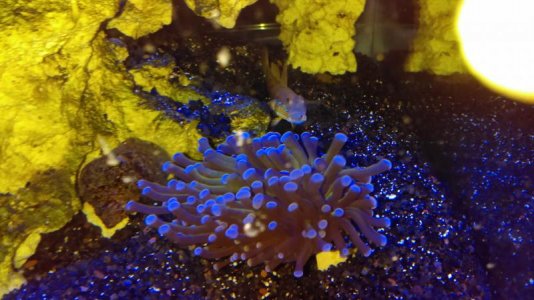 IMAG0025 [24864].jpg