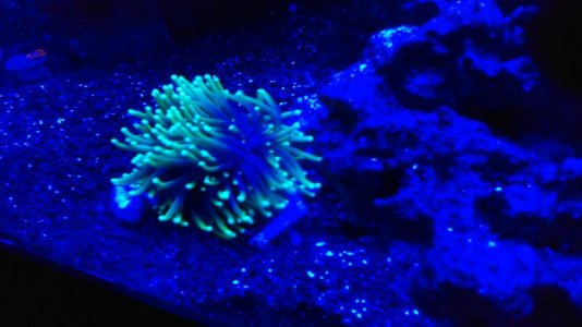 IMAG0026 [24872].jpg